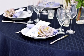 Ⅹ柄プラムネイビー